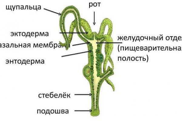 Kraken 12at зеркало