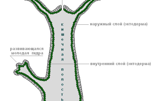 Кракен рабочий сайт