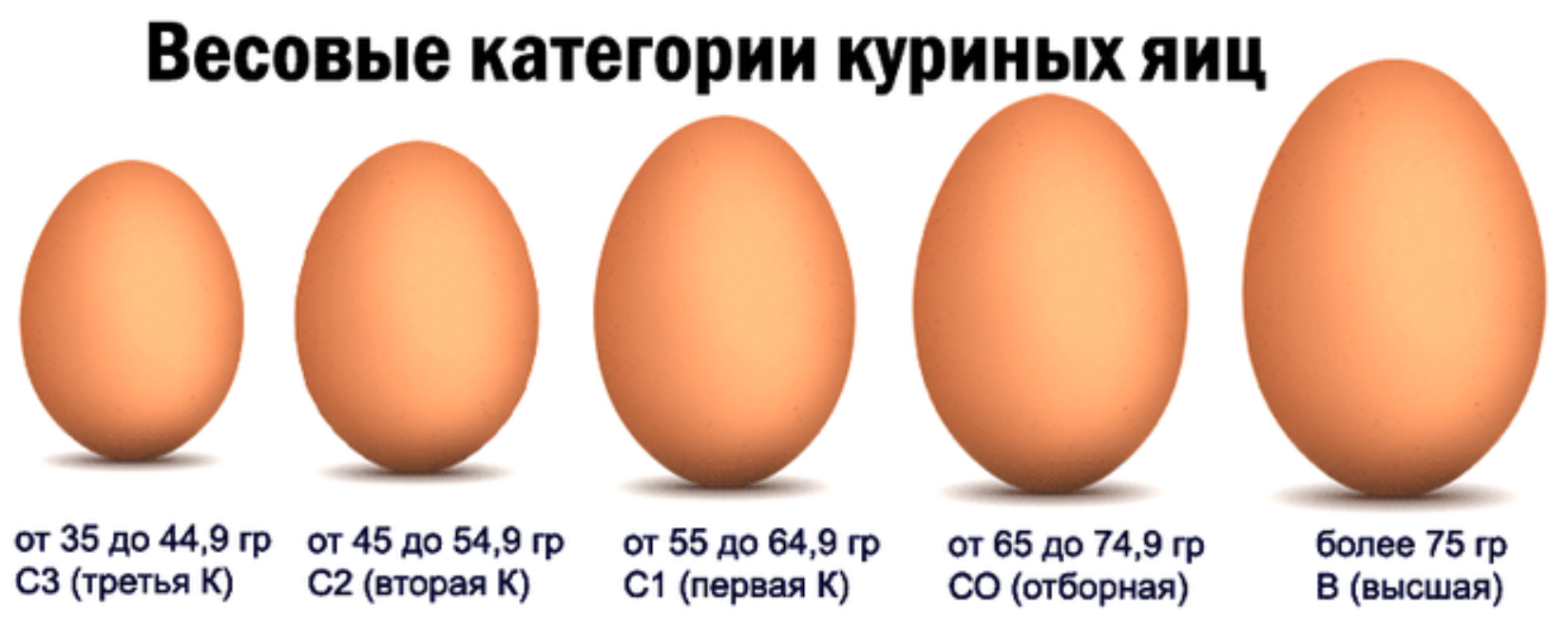 Как отличить сорта. Категории яиц с1 с2. Размер яйца 1 категории. Яйца с0 с1 с2. Категории яиц куриных с0.